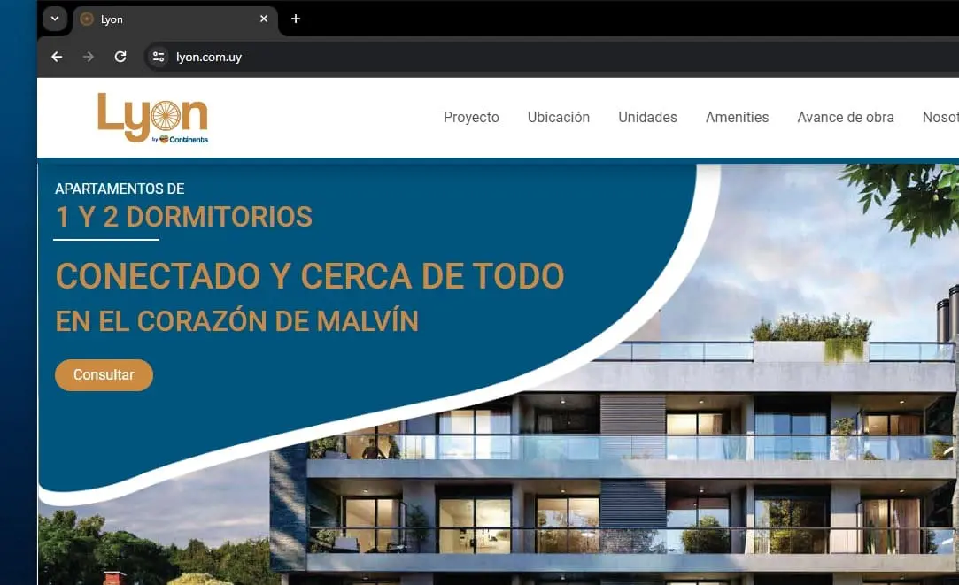 Picture of Lyon project